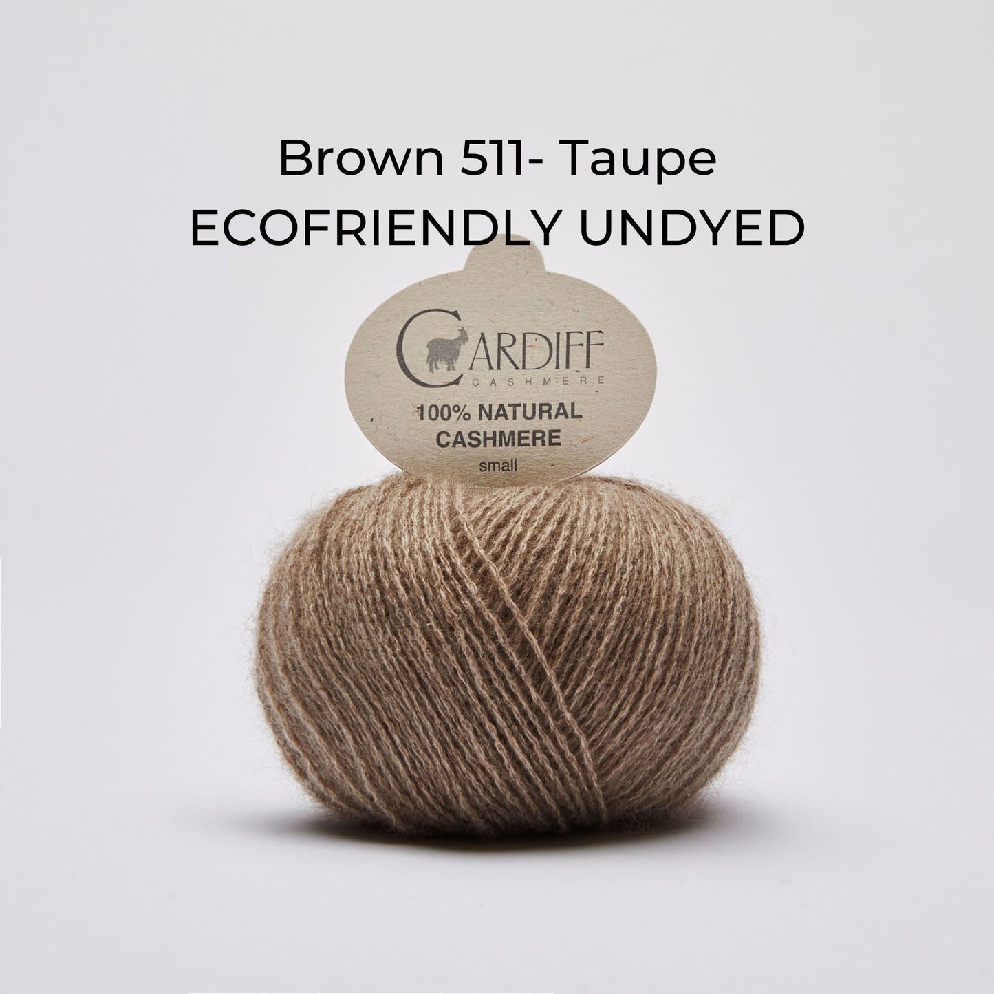 Kaschmirwolle - Cardiff Cashmere Small 4/28 - NS 2,5- 3,5 mm
