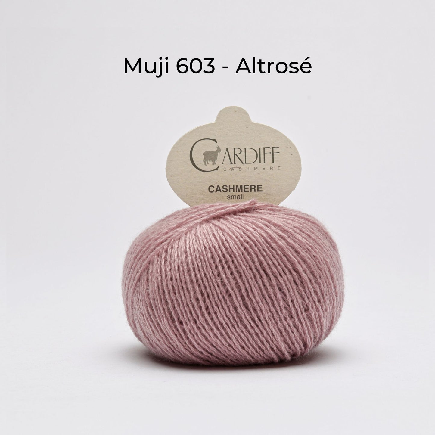 Kaschmirwolle - Cardiff Cashmere Small 4/28 - NS 2,5- 3,5 mm