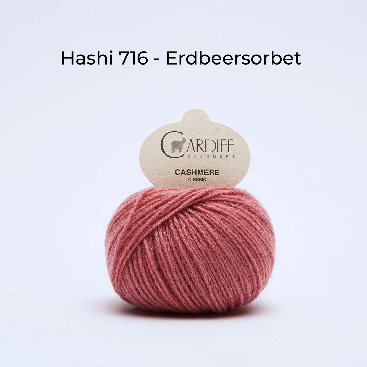 Kaschmirwolle - Cardiff Cashmere Classic 6/28 - NS 3.5-4.5 mm