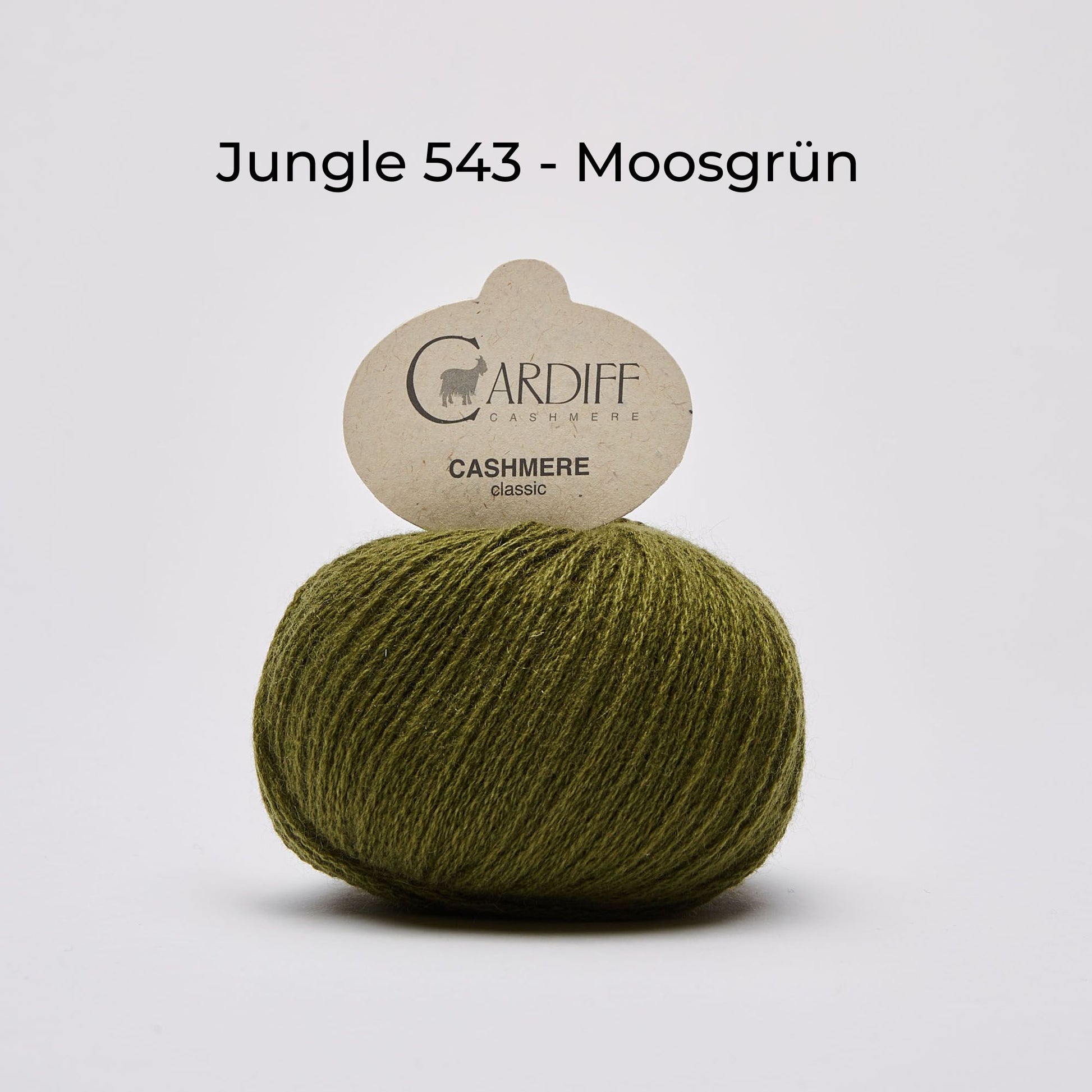 Wollknäuel, Cardiff Cashmere Classic, Farbe Jungle 543, Moosgrün