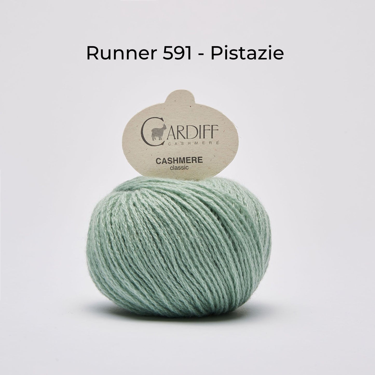 Wollknäuel, Cardiff Cashmere Classic, Farbe Runner 591, Pistazienfarben