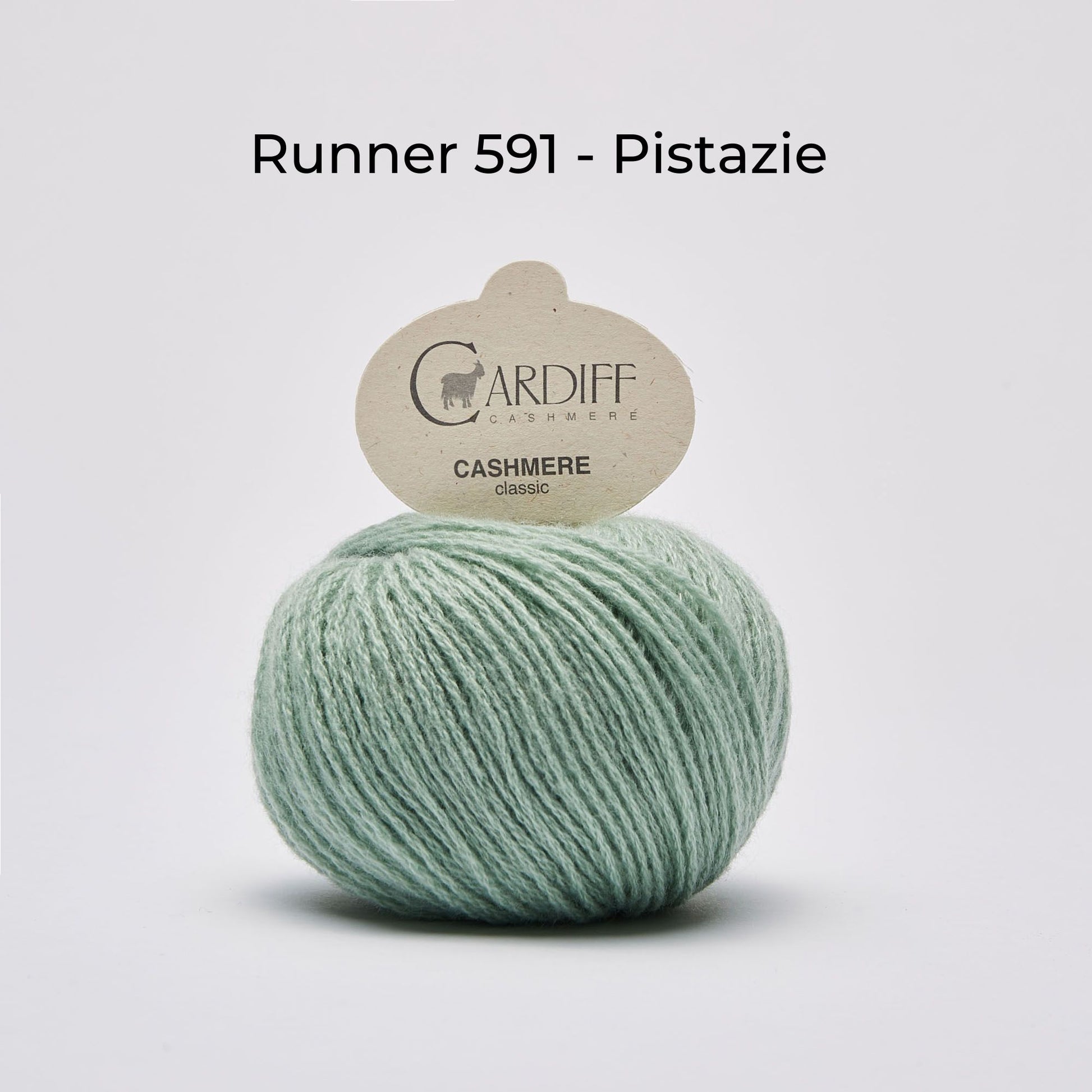 Wollknäuel, Cardiff Cashmere Classic, Farbe Runner 591, Pistazienfarben