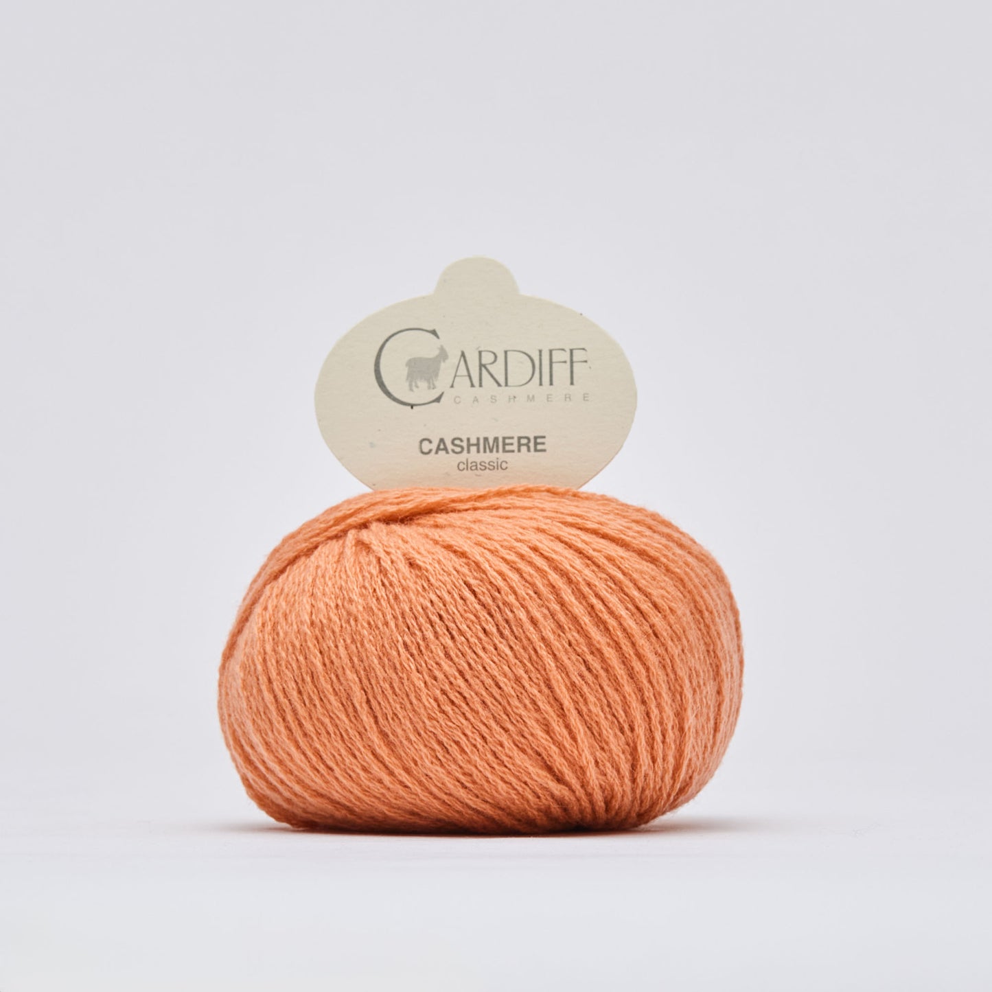 Cashmere wool - Cardiff Cashmere Classic 6/28 - NS 3.5-4.5 mm