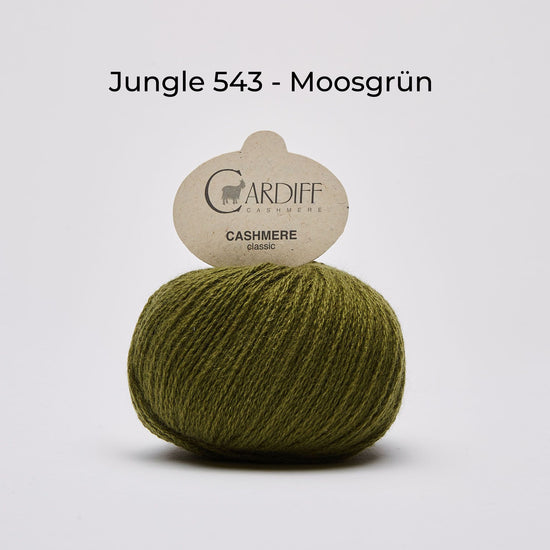 Wollknäuel Kaschmirwolle von Cardiff Cashmere Classic, Farbe Moosgrün 543