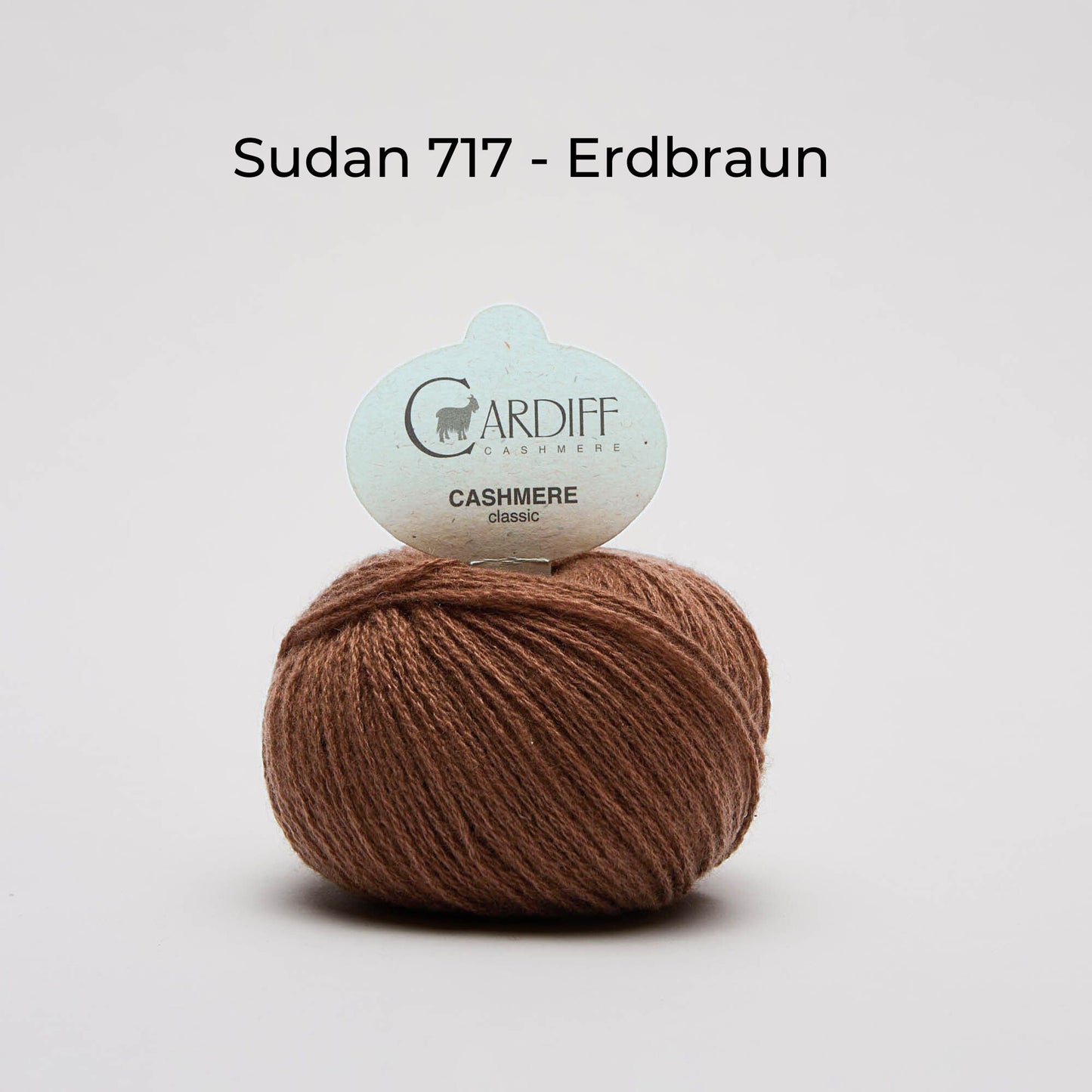 Cashmere wool - Cardiff Cashmere Classic 6/28 - NS 3.5-4.5 mm