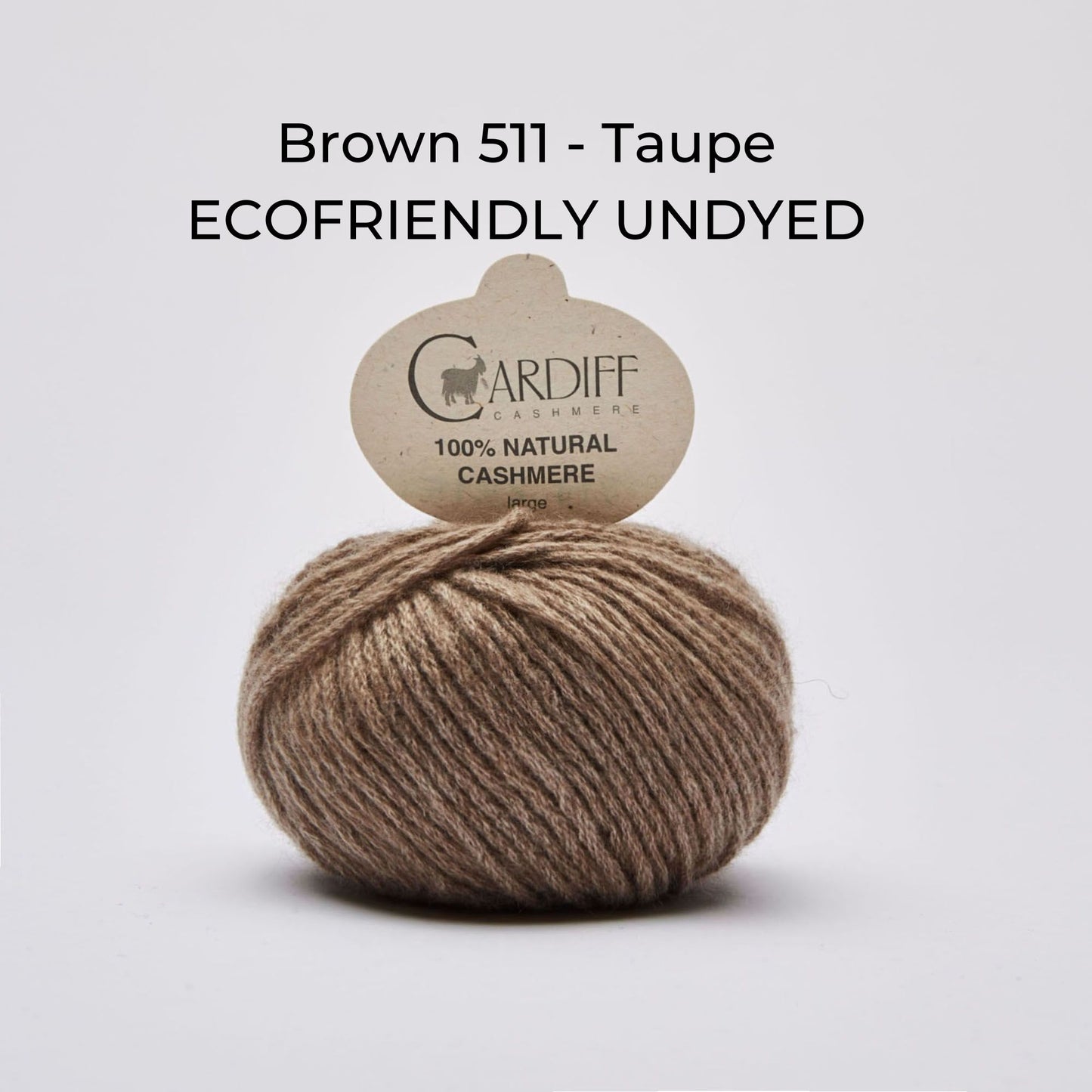 Kaschmirwolle Cardiff Cashmere Large NS 5 mm
