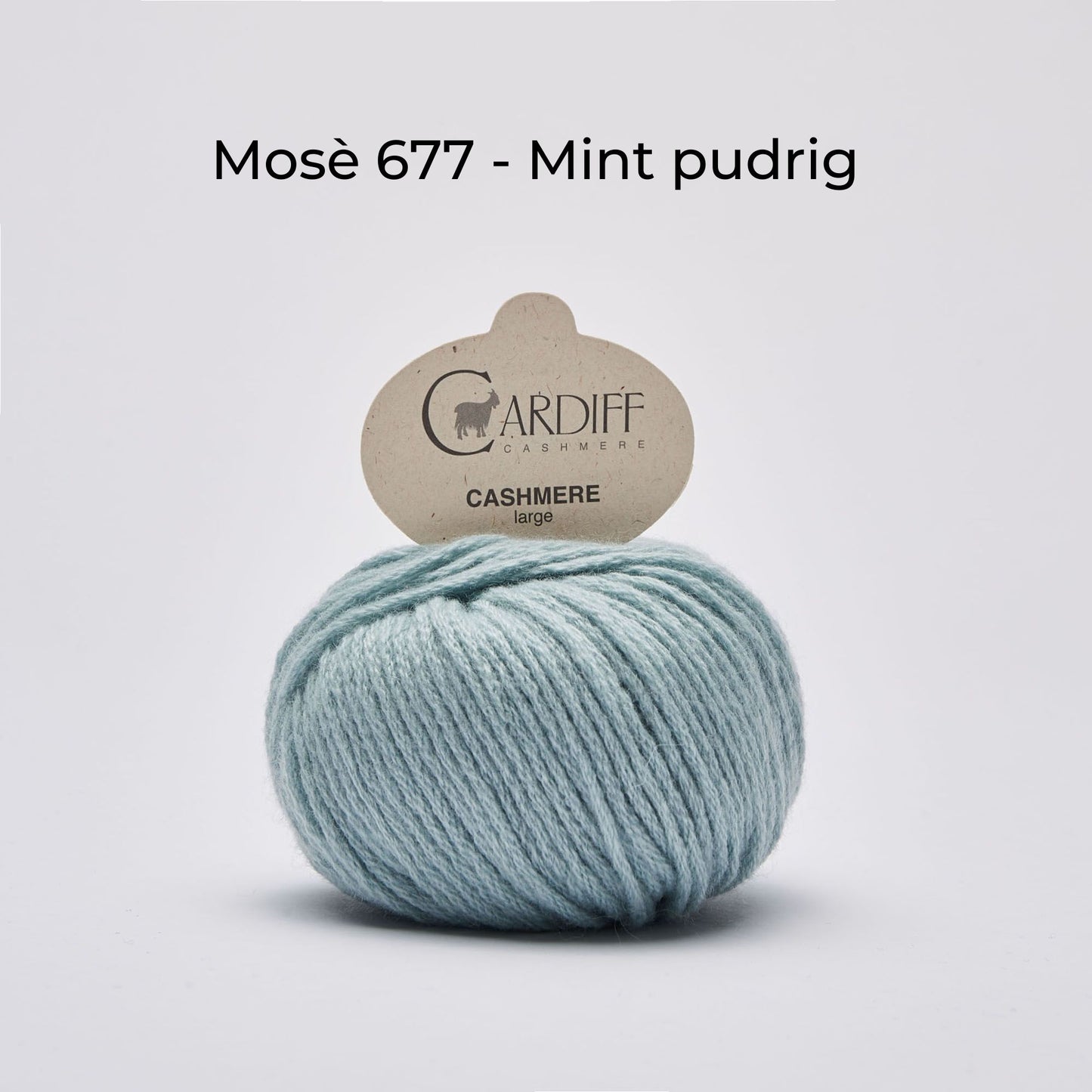 Kaschmirwolle Cardiff Cashmere Large NS 5 mm