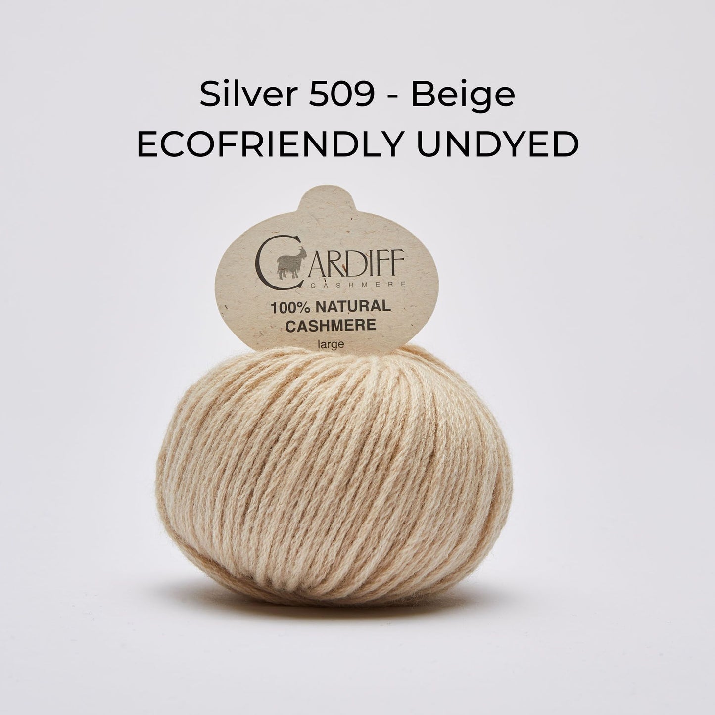 Kaschmirwolle Cardiff Cashmere Large NS 5 mm