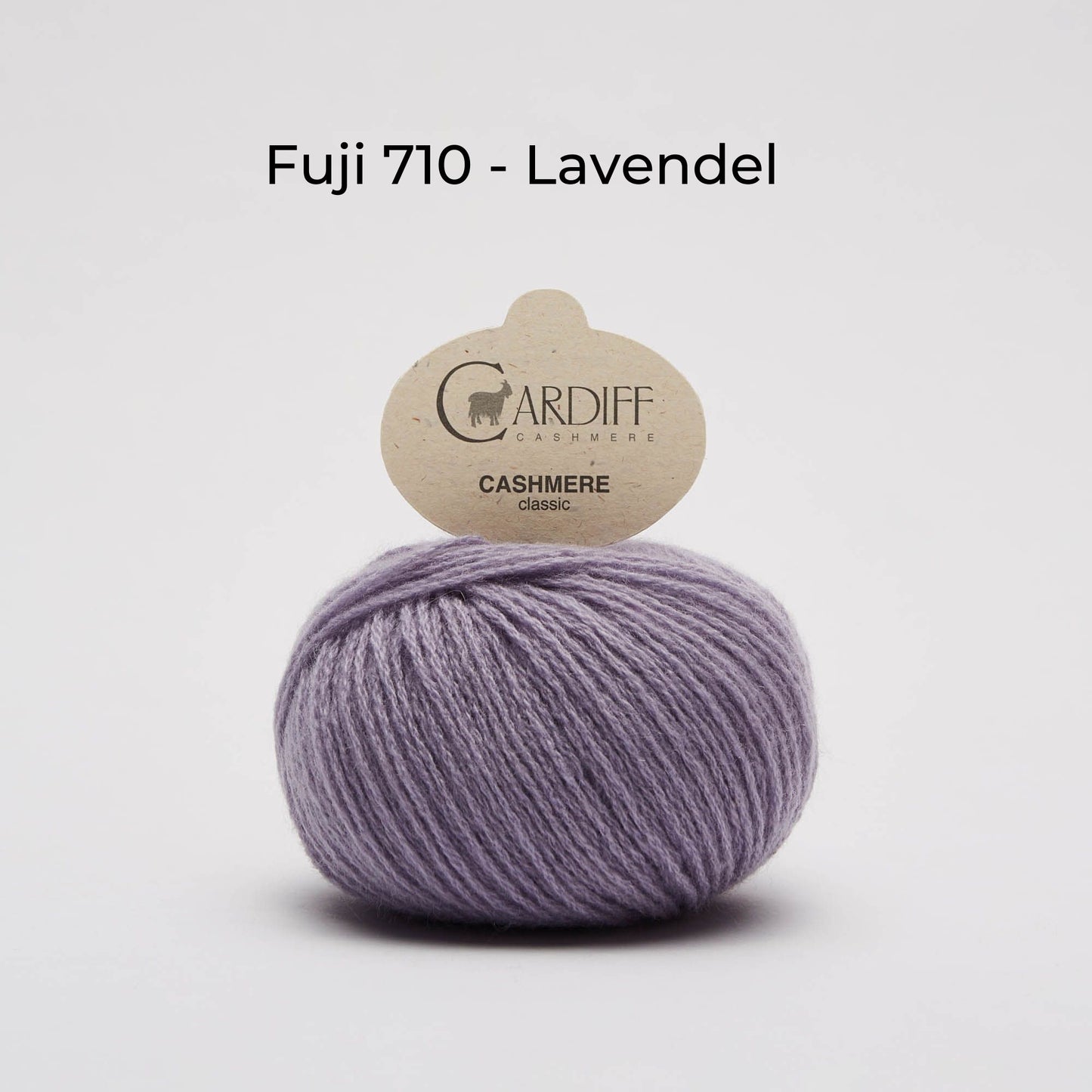 Cashmere wool - Cardiff Cashmere Classic 6/28 - NS 3.5-4.5 mm