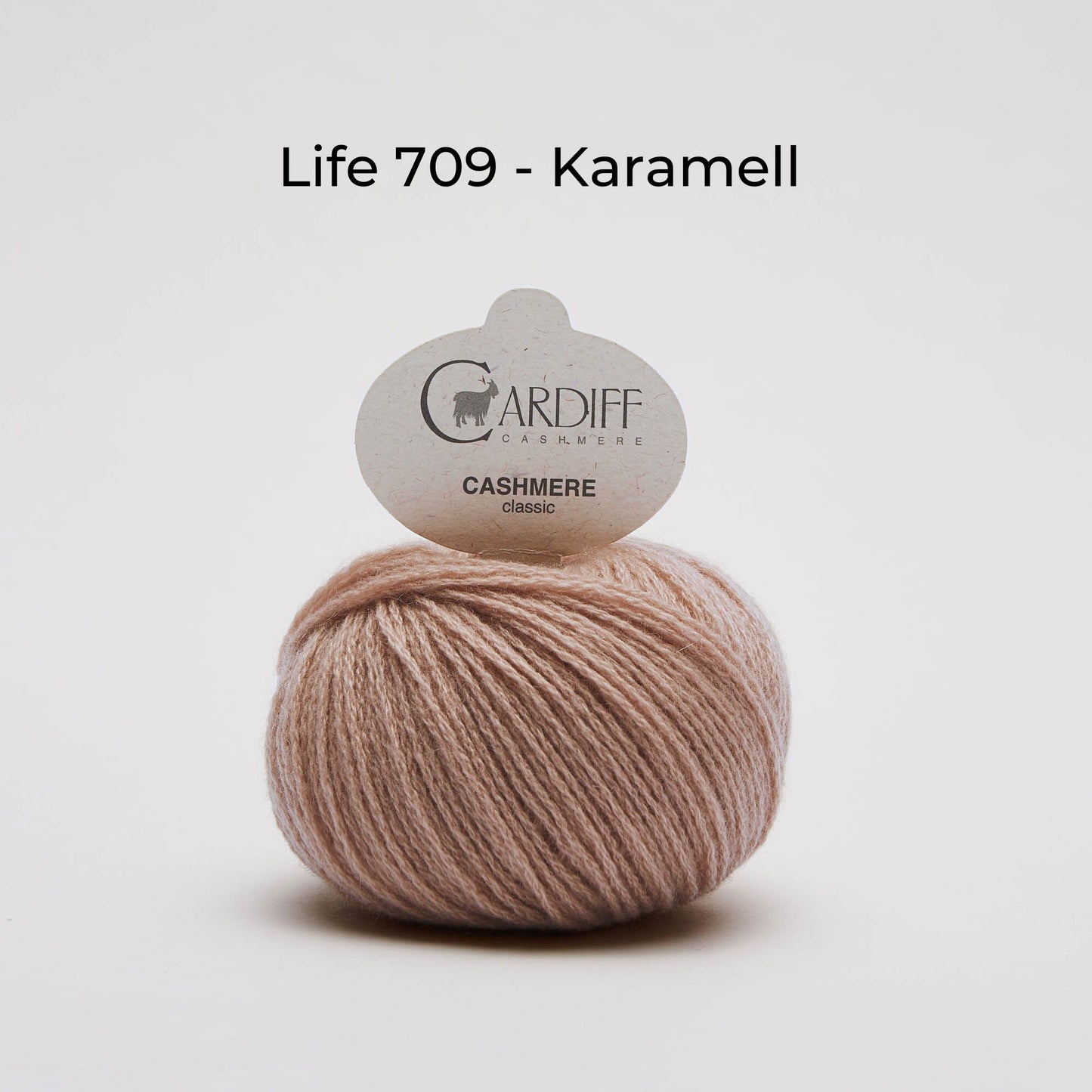 Cashmere wool - Cardiff Cashmere Classic 6/28 - NS 3.5-4.5 mm