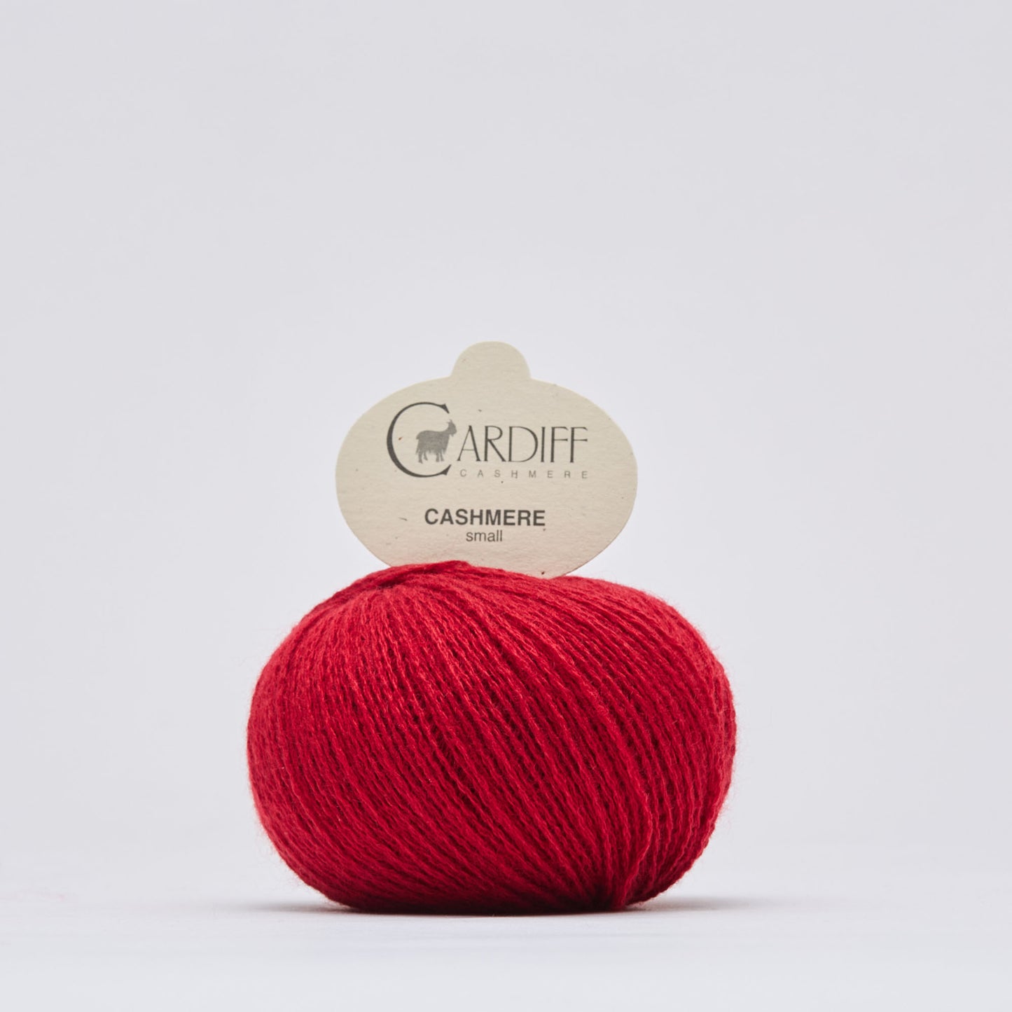 Cardiff Cashmere Small – 100% mongolische Kaschmirwolle, 4-fädig, Nadelstärke 2,5–3,5 mm