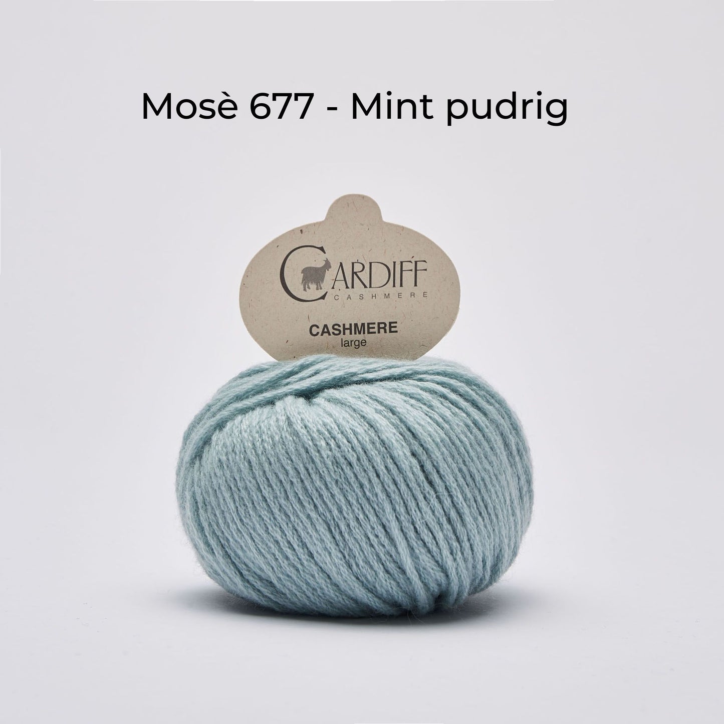 Wollknäuel, Cardiff Cashmere Classic, Farbe Mosè 677, pudriges Mint