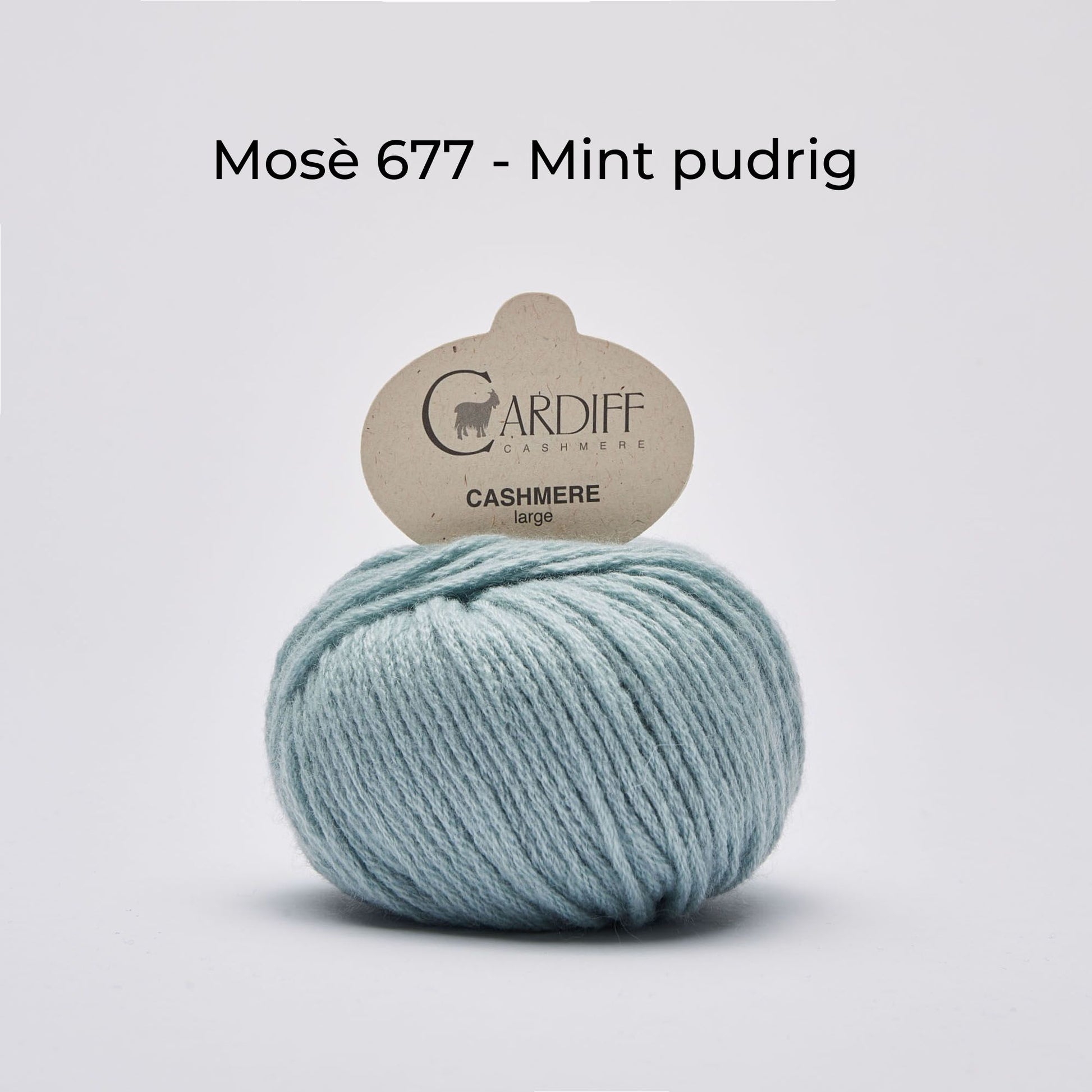Wollknäuel, Cardiff Cashmere Classic, Farbe Mosè 677, pudriges Mint